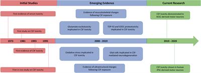 40 Years of CSF Toxicity Studies in ALS: What Have We Learnt About ALS Pathophysiology?